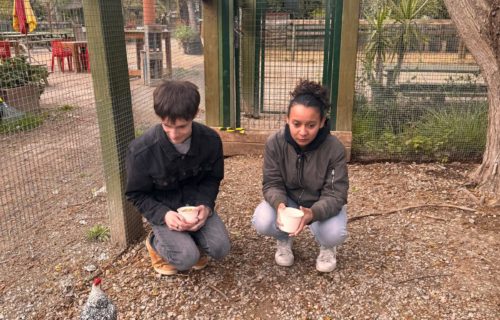 12/04/2025 Une journée à la Ferme Découverte pour les jeunes du dispositif Tremplin